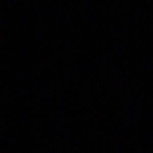 Meet your Posher, Allie